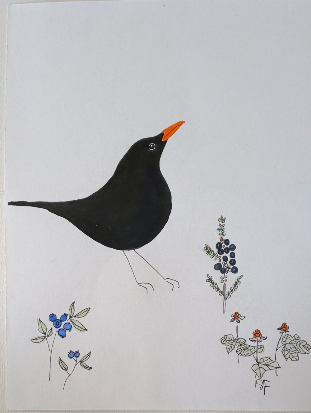 Original Ink And Watercolour Painting